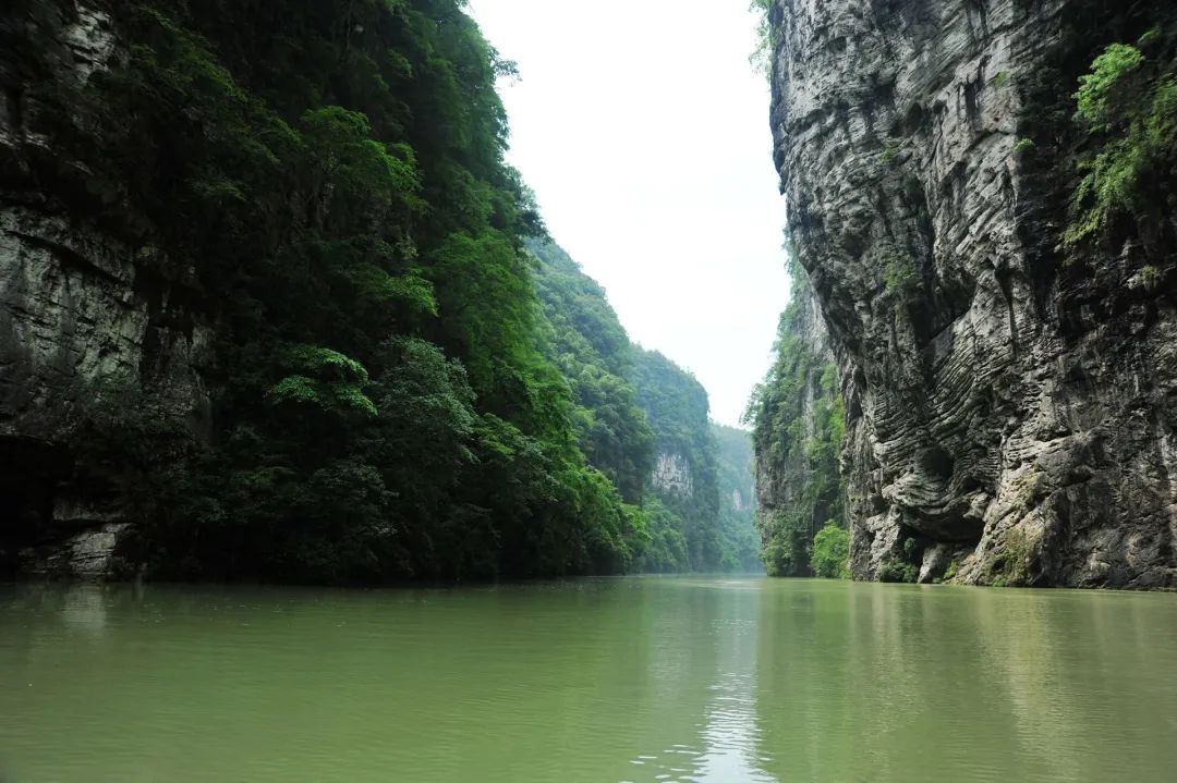 微信图片_20200915220047.jpg