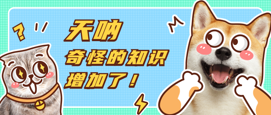 奇怪的知识.jpg