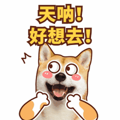 好想去.gif