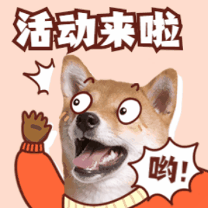 活动来啦.gif