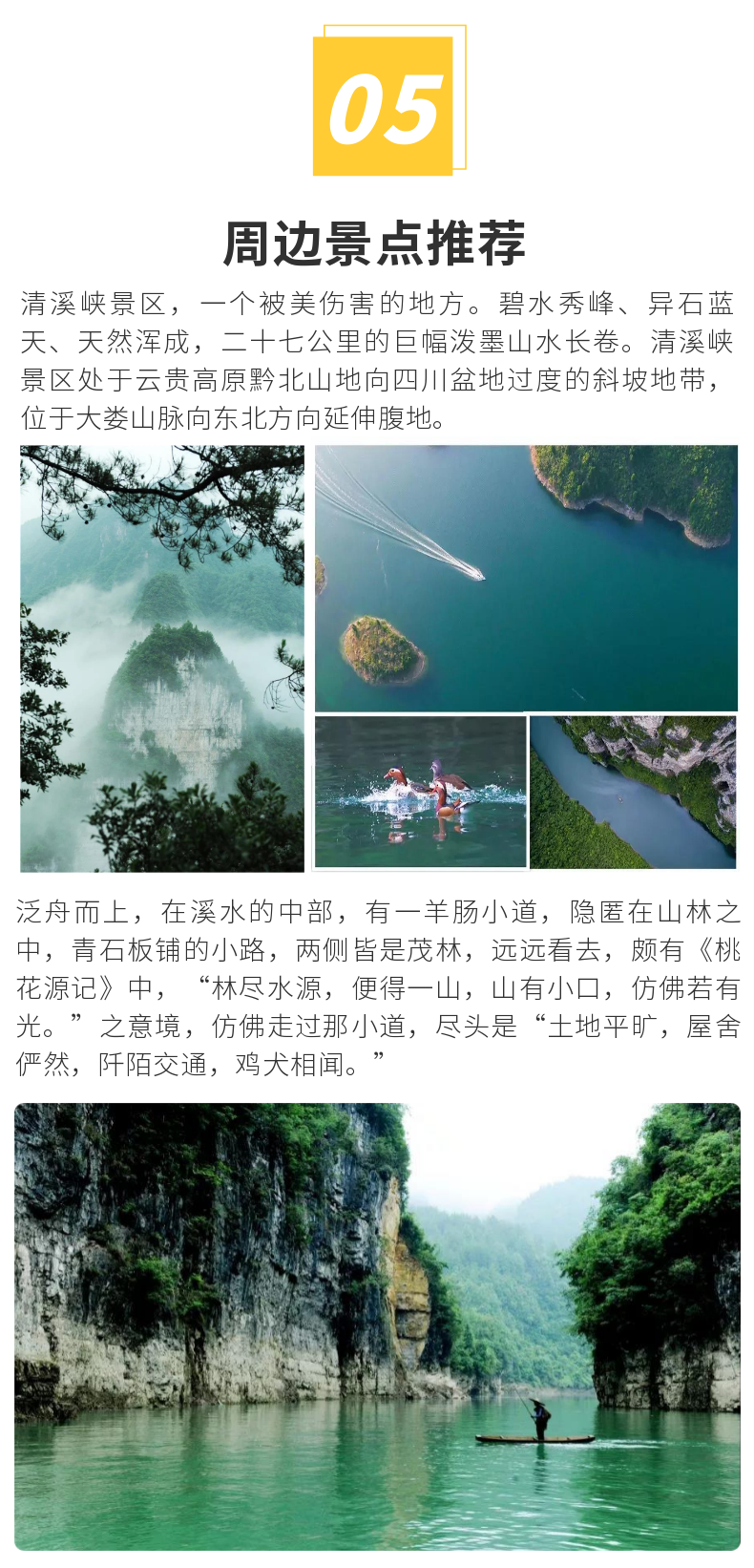 稿定设计-5.png