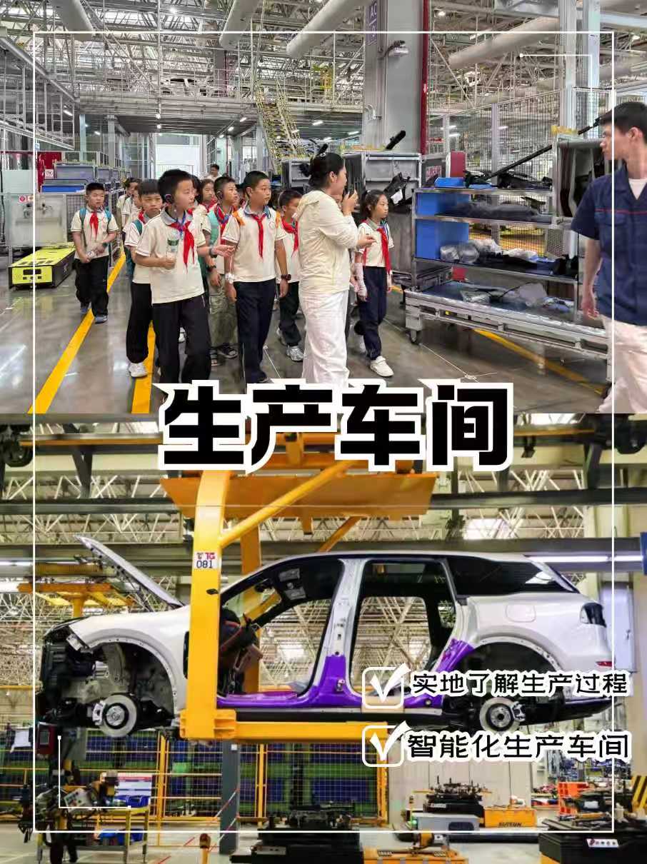 微信图片_2026-07-31_154525_779.jpg