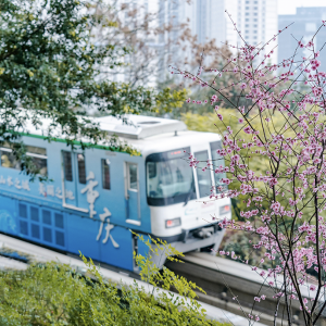 夏令营招募 | 渝你一起研学重庆·城市研学