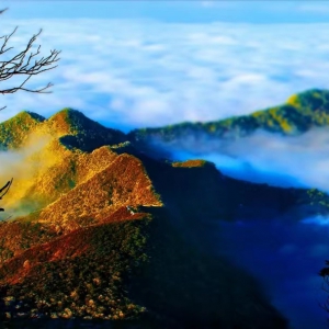 渝你一起成长——金佛山10天9夜暑期研学营