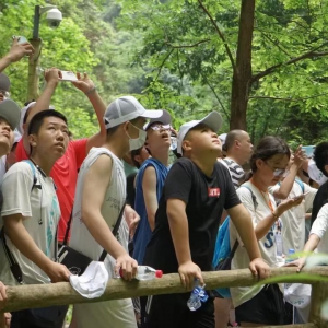 PBL研学丨武隆研学“行走的武隆·对话喀斯特”5天4晚研学成长营